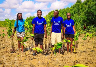 Youth for Green Action Kenya-MMUST Chapter Takes the Lead During the Planting of Mangrove Propagules in Mombasa County!!