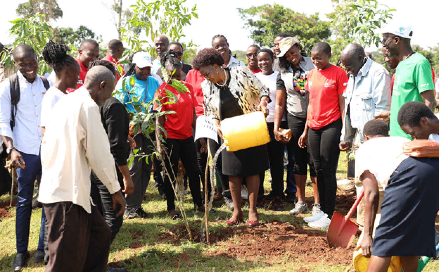 MMUST Officially Launches Tree Planting Initiative in Kakamega Forest as It Leads the ‘Green Revolution’ Across the Country