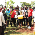 MMUST Officially Launches Tree Planting Initiative in Kakamega Forest as It Leads the ‘Green Revolution’ Across the Country
