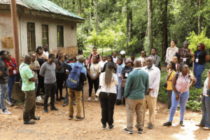 image – 2026-03-23T121431.675